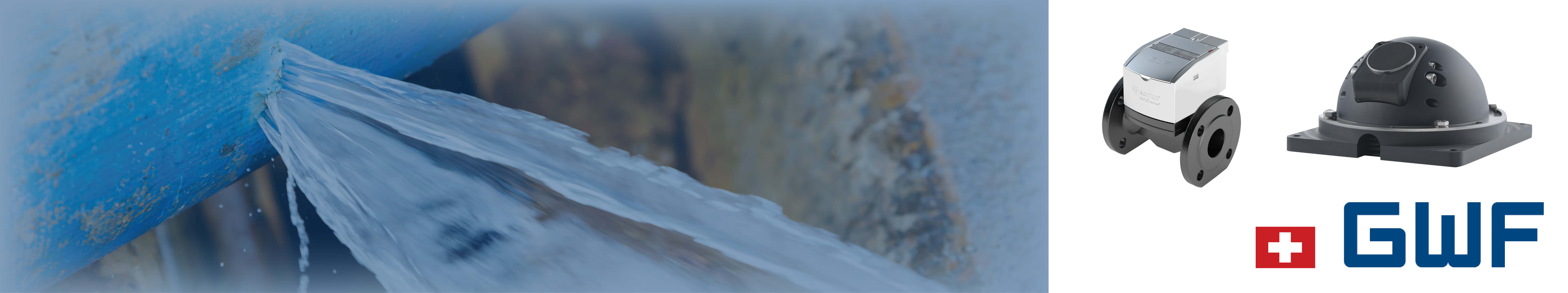 baner_gwf_01.jpg