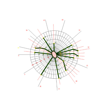 rootdetector