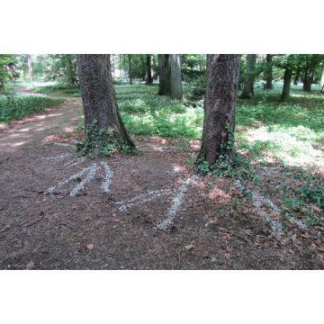 rootdetector