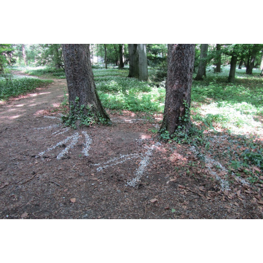 rootdetector